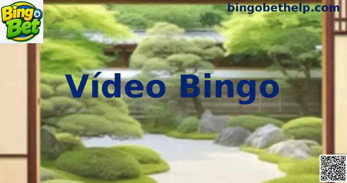Interface moderna e dinâmica de Vídeo Bingo Online