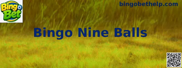 Interface ilustrativa do jogo Bingo Nine Balls