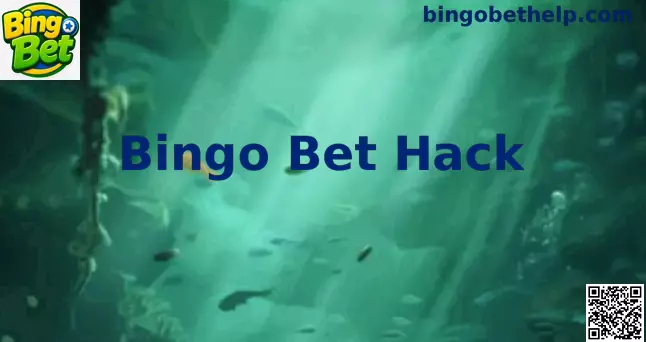 Guia de Segurança Bingo Bet Hack